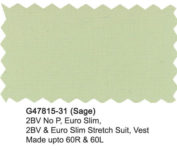 G47815-31-Giorgio Fiorelli Suit-Sage