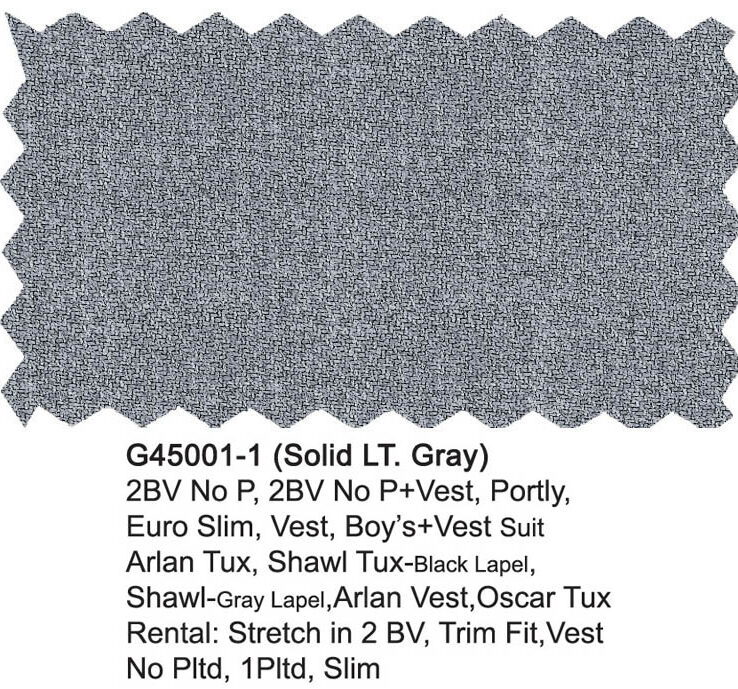 G45001-1-Giorgio Fiorelli Suit-Gray