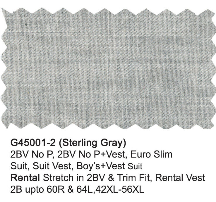 G45001-2-Giorgio Fiorelli Suit-Sterling Gray
