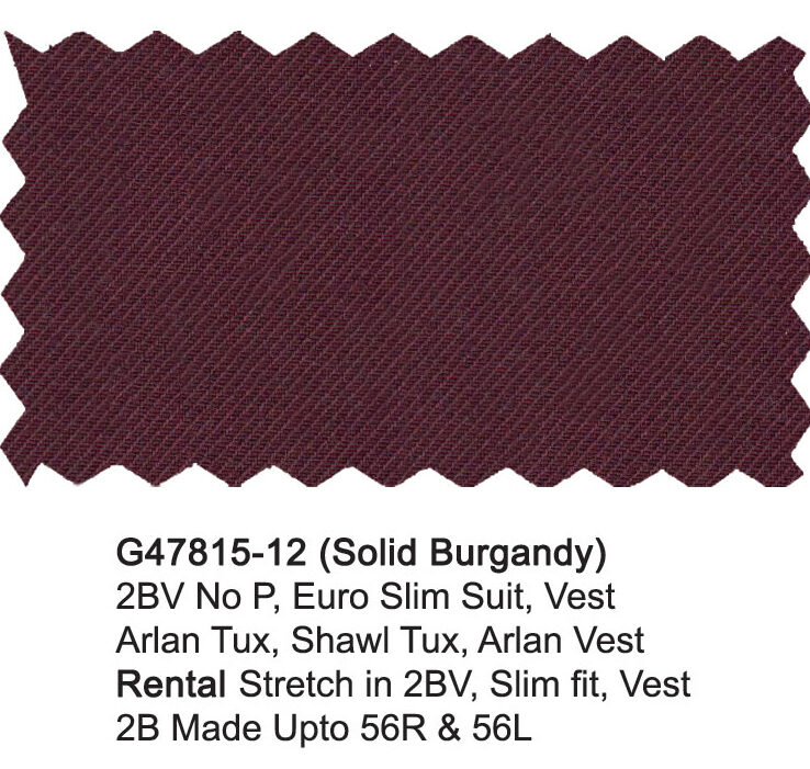 G47815-12-Giorgio Fiorelli Suit-Solid Burgandy