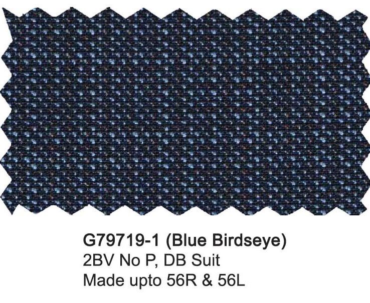 G79719-1-Giorgio Fiorelli Suit-Blue Birdseye