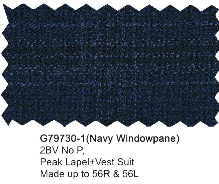 G79730-1-Giorgio Fiorelli Suit-Navy Windowpane