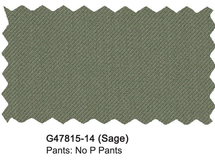 G47815-14-Girogio Fiorelli Pants-Sage