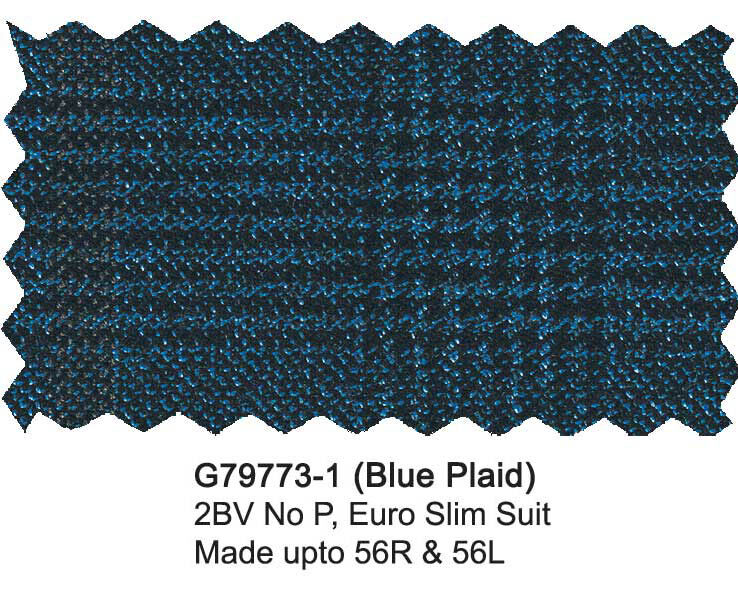 G79773-1-Giorgio Fiorelli-Blue Plaid