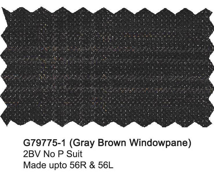 G79775-1-Giorgio Fiorelli Suit-Gray Brown Windowpane